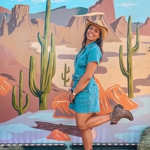 NEW! Show Me Your MuMu Denim Dress